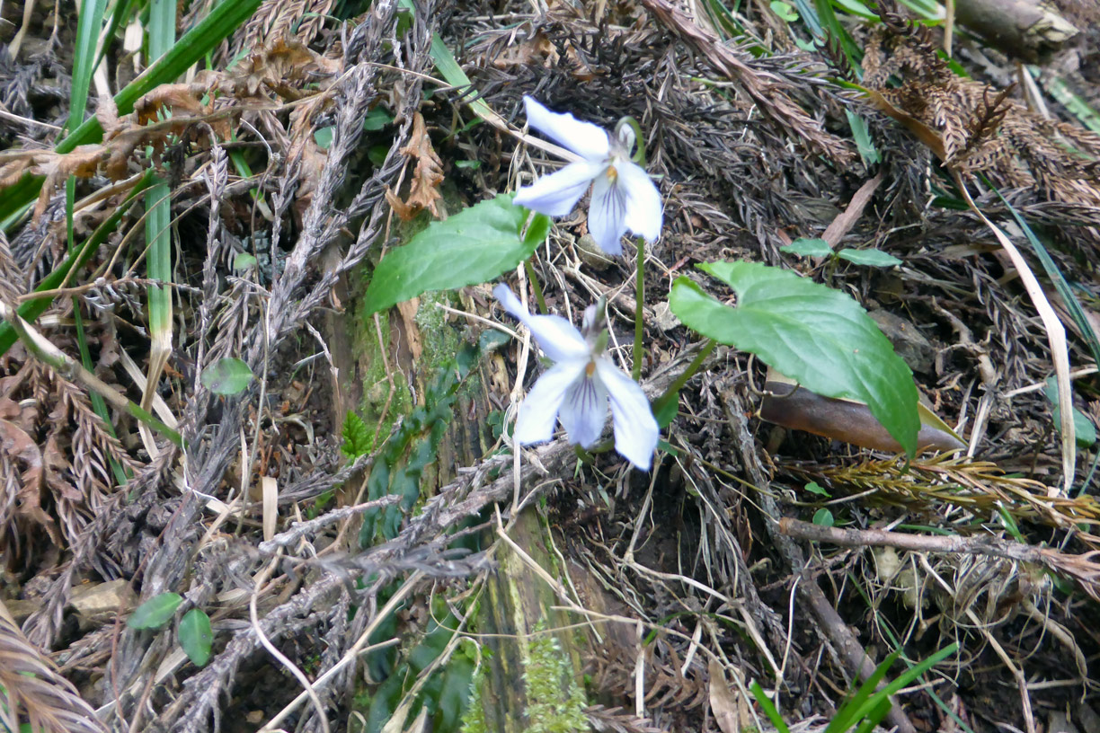 a0019668_1693630.jpg