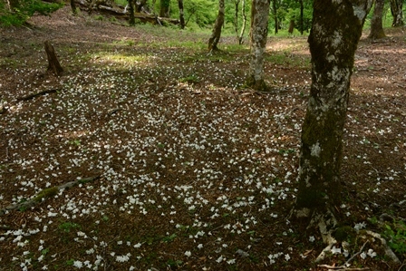 c0303868_06270561.jpg