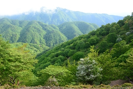 c0303868_06273238.jpg