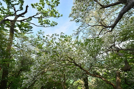 c0303868_06310336.jpg