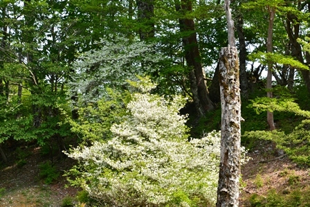 c0303868_06345912.jpg