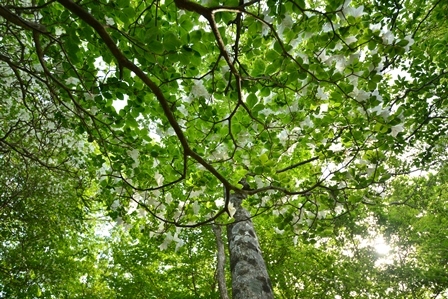 c0303868_09052086.jpg