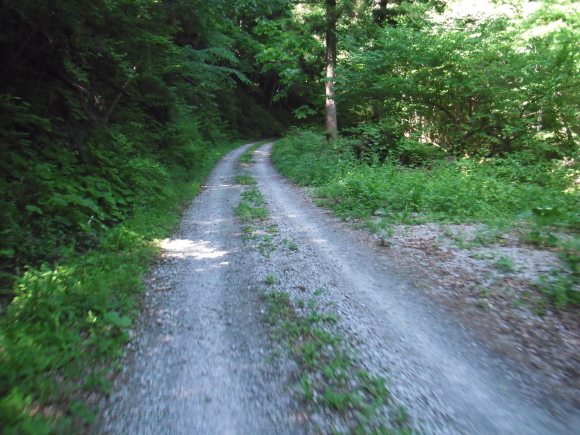 c0325468_19125203.jpg