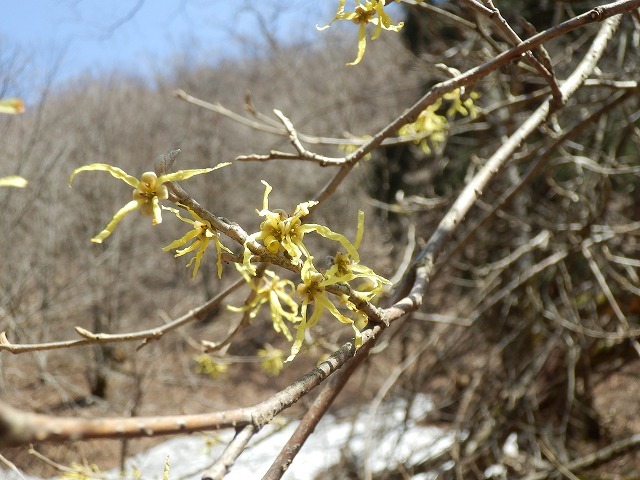 f0057070_22000825.jpg