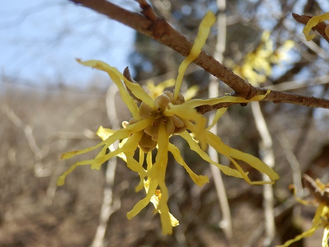 f0057070_22001178.jpg