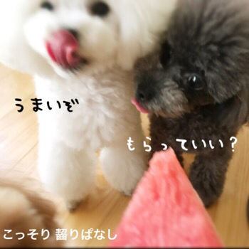 f0322570_16443399.jpg