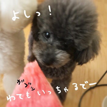 f0322570_16443460.jpg