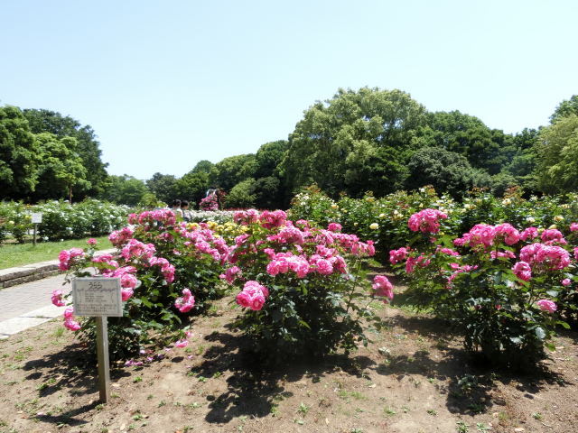 b0168671_00224946.jpg