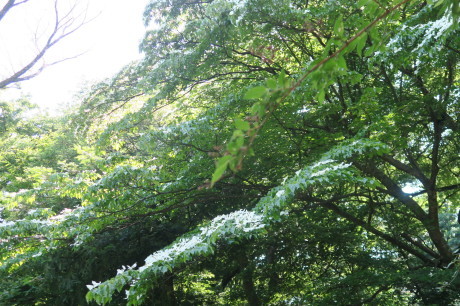 e0292172_20102251.jpg