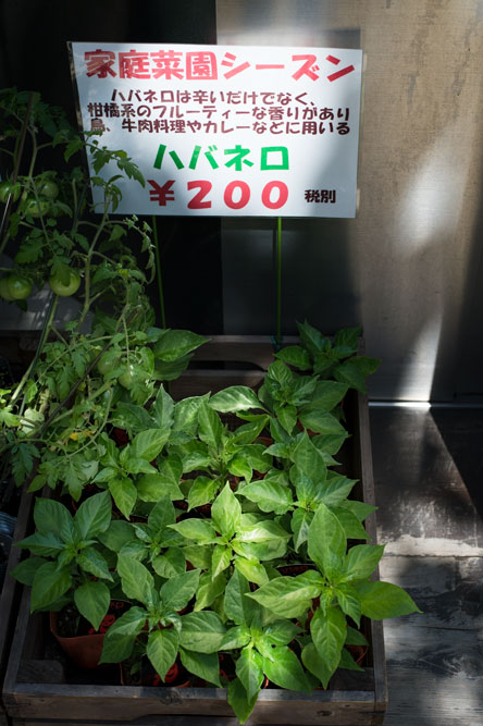 c0108673_23314558.jpg