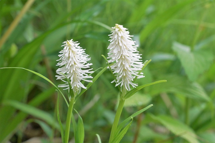 c0248473_20583185.jpg