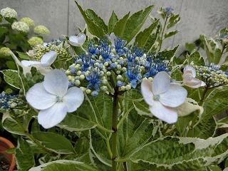 d0353074_17543124.jpg