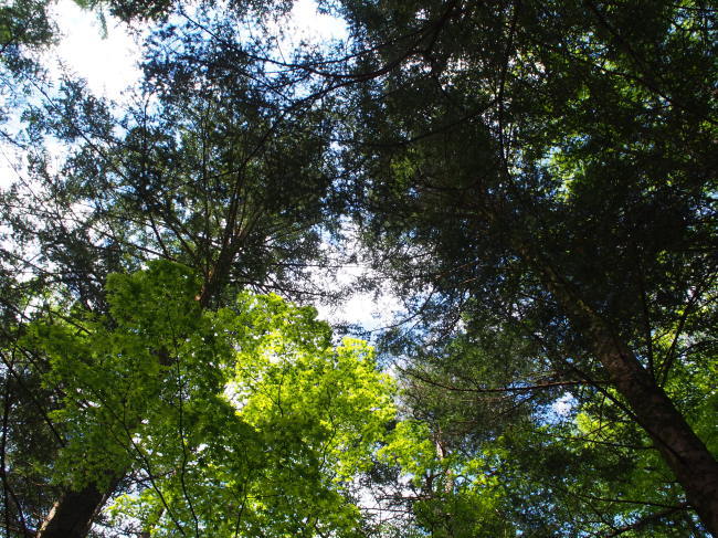 b0246876_23474614.jpg