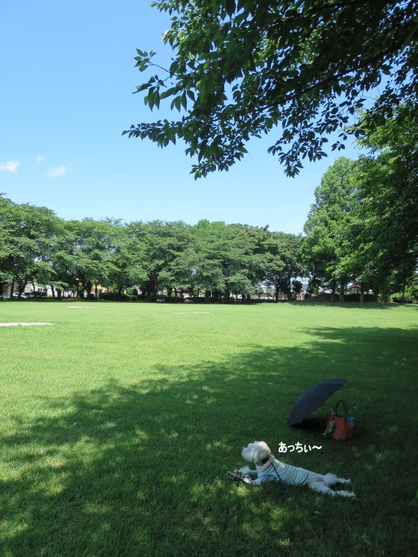 d0264176_19553521.jpg