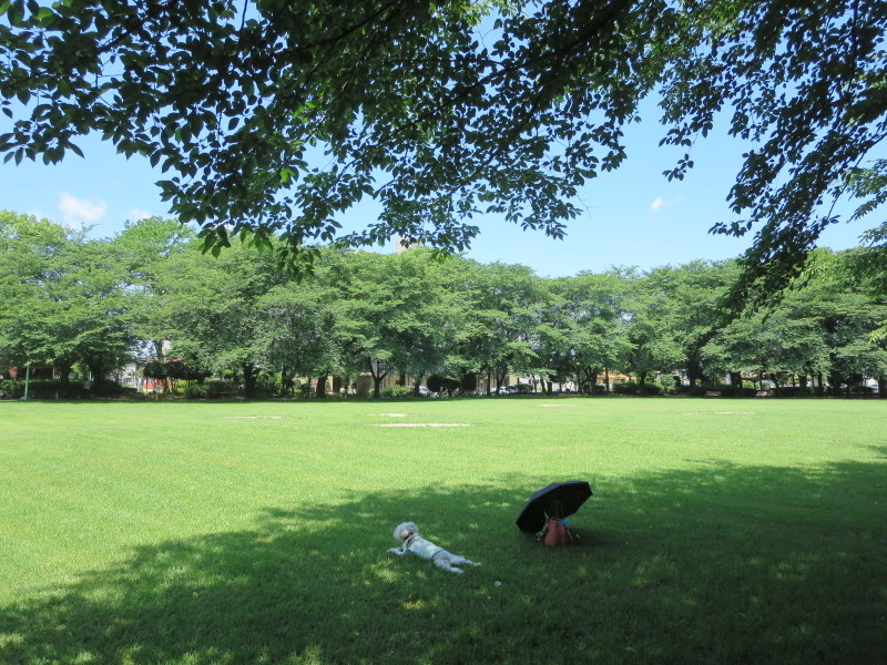 d0264176_19560100.jpg
