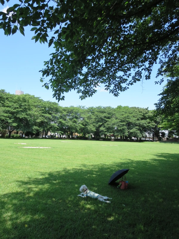 d0264176_19564093.jpg