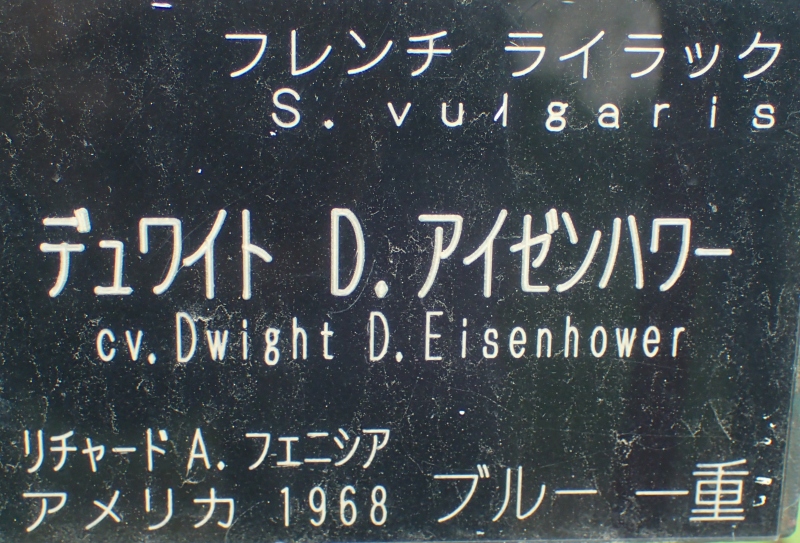 c0183777_10551220.jpg