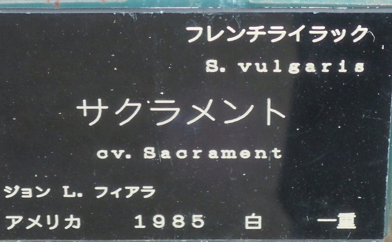 c0183777_11221328.jpg
