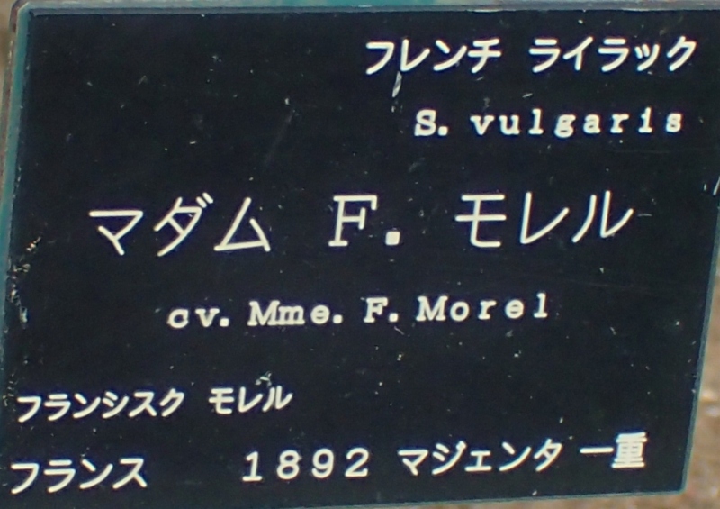 c0183777_11284864.jpg