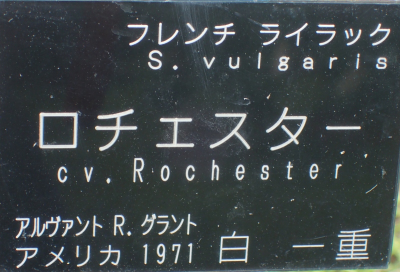 c0183777_1185725.jpg