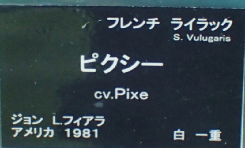 c0183777_12294668.jpg