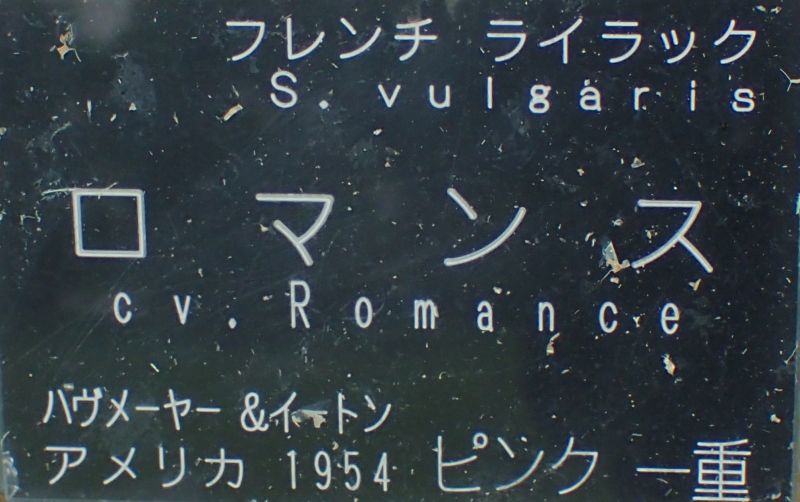 c0183777_123275.jpg