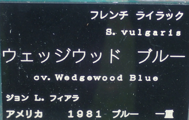 c0183777_1233496.jpg