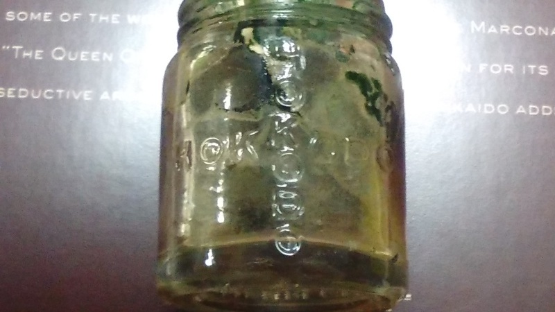 e0362685_00011463.jpg