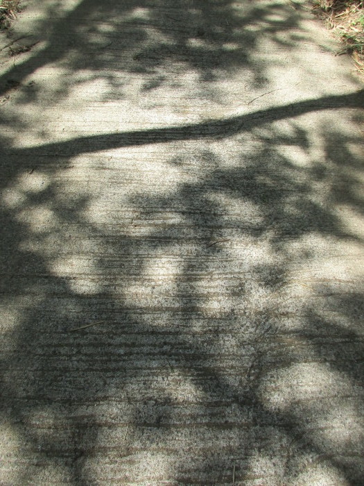 e0303187_10192765.jpg