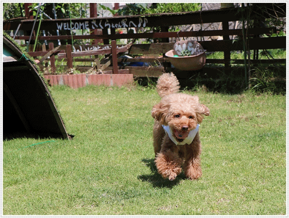 b0175688_23410045.gif