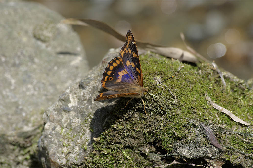 d0209988_23415745.jpg