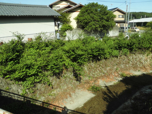 c0108198_1541249.jpg