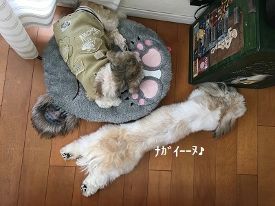 f0372998_21164073.jpg