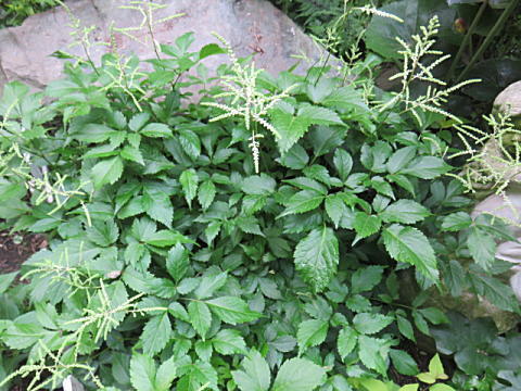 d0046702_09202854.jpg