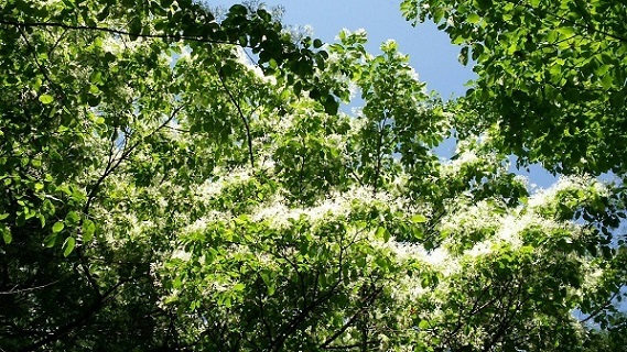 a0337807_10503926.jpg