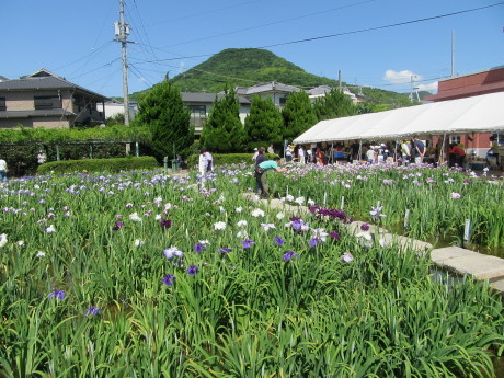 f0231709_19260198.jpg