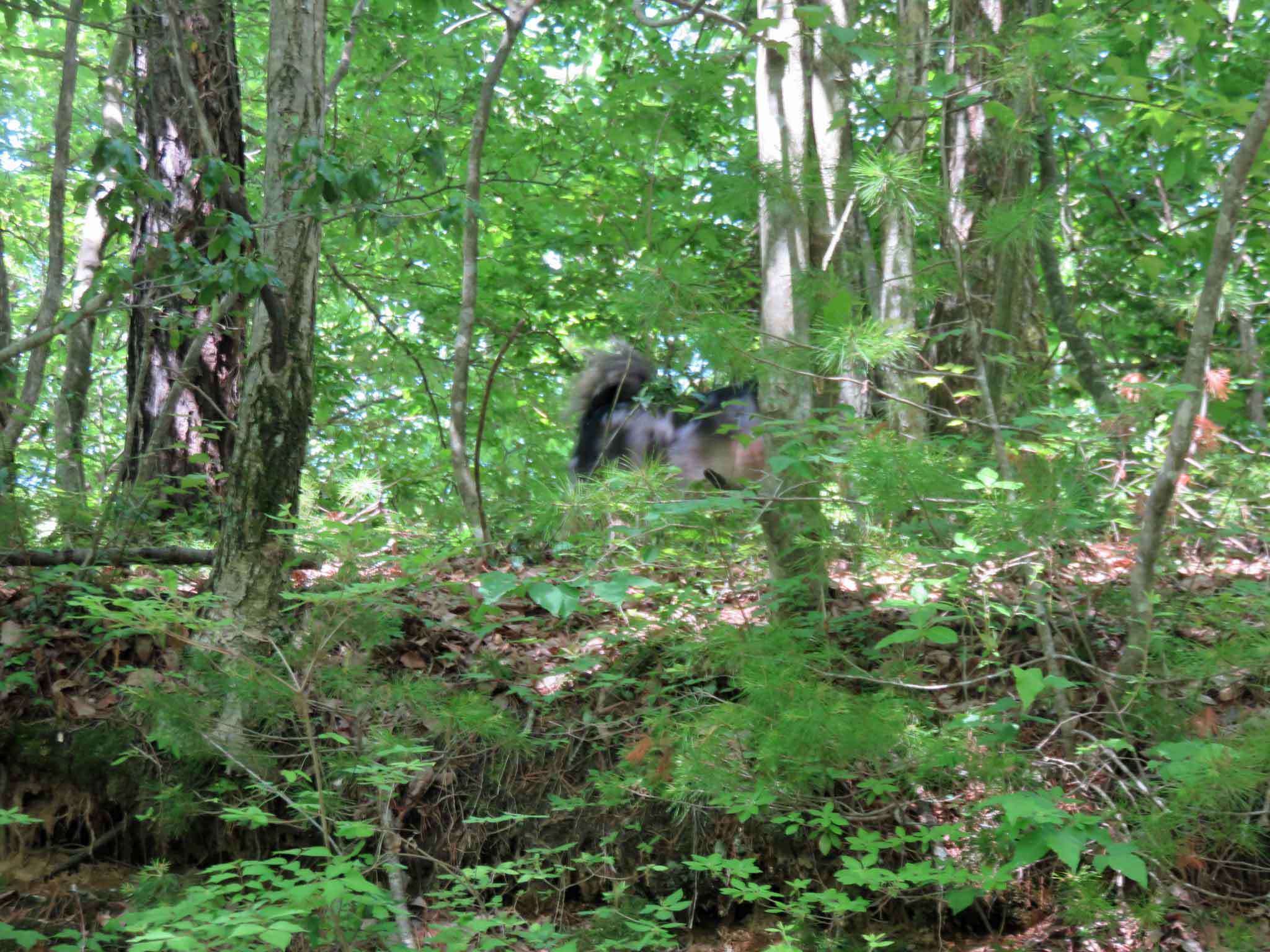 e0001110_13405421.jpg