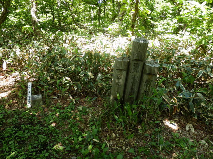 f0219710_06315309.jpg