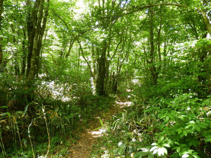 f0219710_06484584.jpg