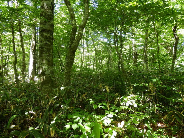 f0219710_06511574.jpg