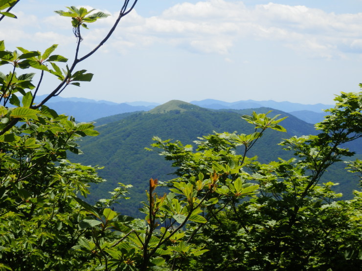 f0219710_08263055.jpg