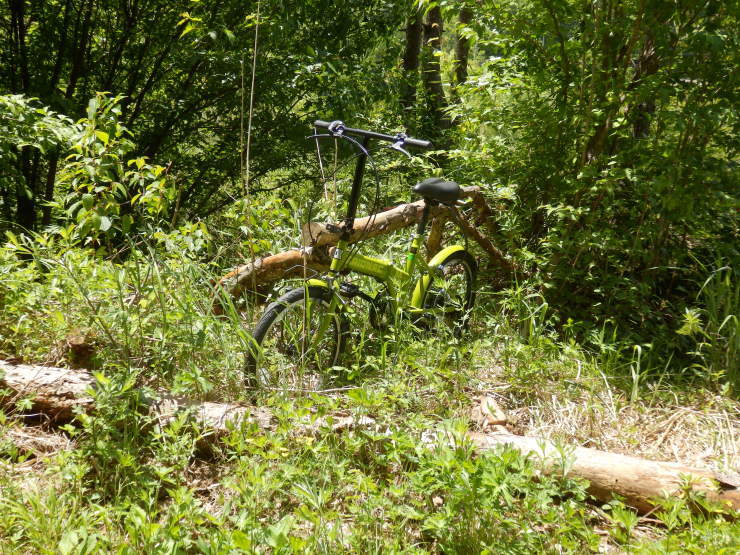 f0219710_08311965.jpg