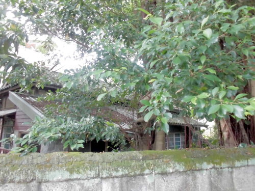 a0019212_18565559.jpeg
