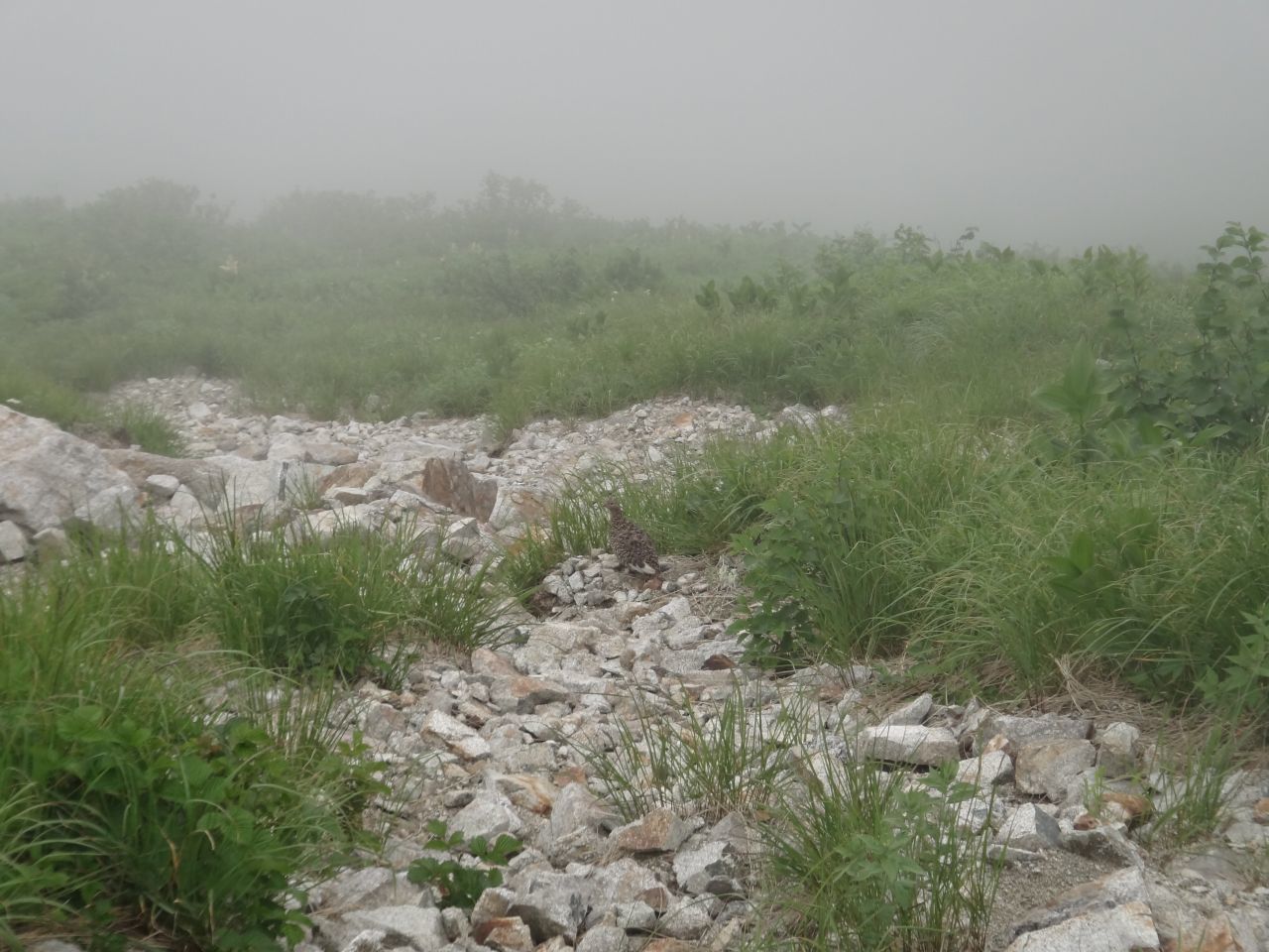 c0337813_19085826.jpg