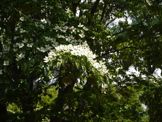 e0205713_20263368.jpg