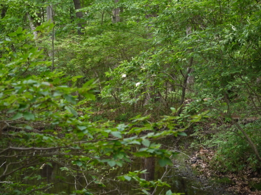 e0205713_20274413.jpg