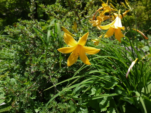 e0205713_20280975.jpg