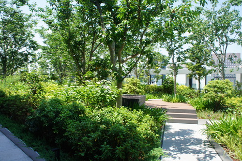 f0215714_16514714.jpg