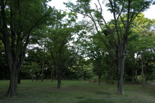 f0369014_13192158.jpg
