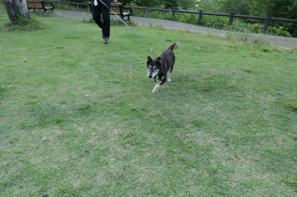f0369014_13200556.jpg